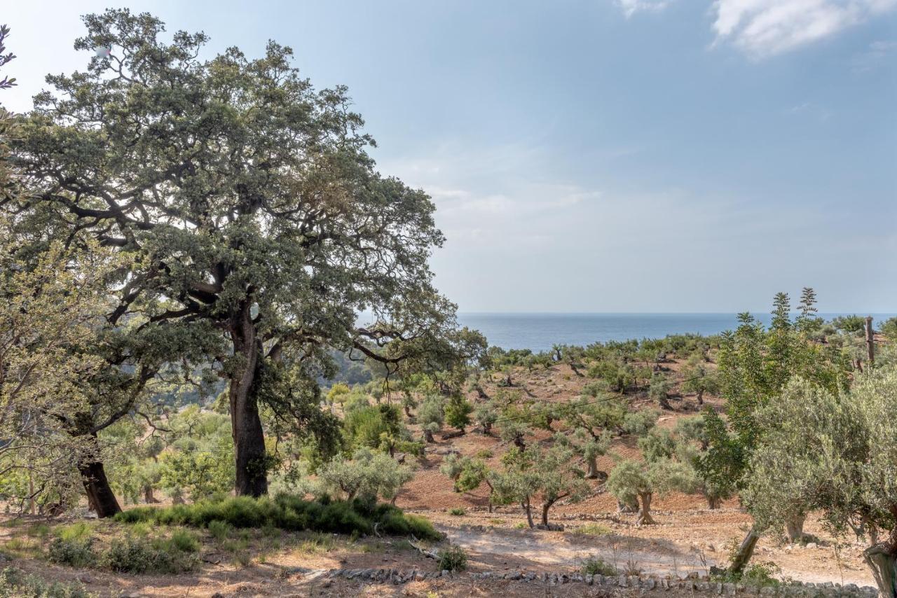 Deia Semi-Detached Sunny Country House, Near Gr221 Bagian luar foto
